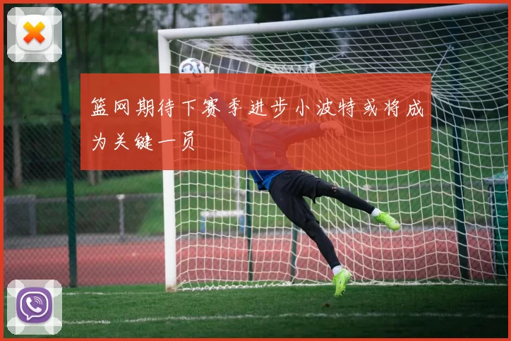 篮网期待下赛季进步小波特或将成为关键一员